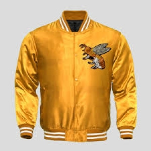 Varisty Jacket